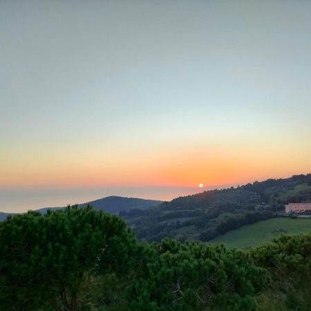 Vista Sulle Isole Dell'Arcipelago Toscano Nibbiaia Phòng bức ảnh